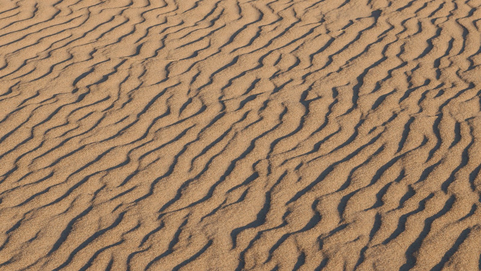 Wide expanse of rippled sand meeting the sea